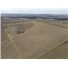 Image 7 : Tract 3 - 216+/- Acres of Dryland, Native Gras and old Homestead