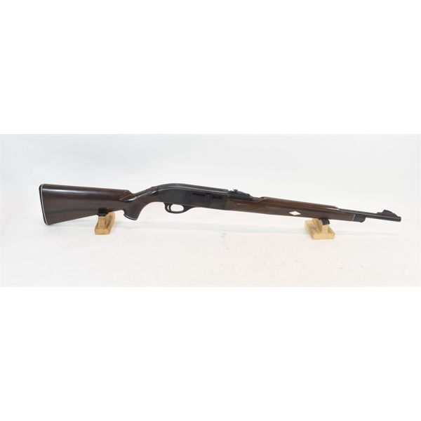 Remington Model Nylon 66 Rifle