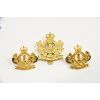 Image 1 : Regiment of Hull Pins & Badge