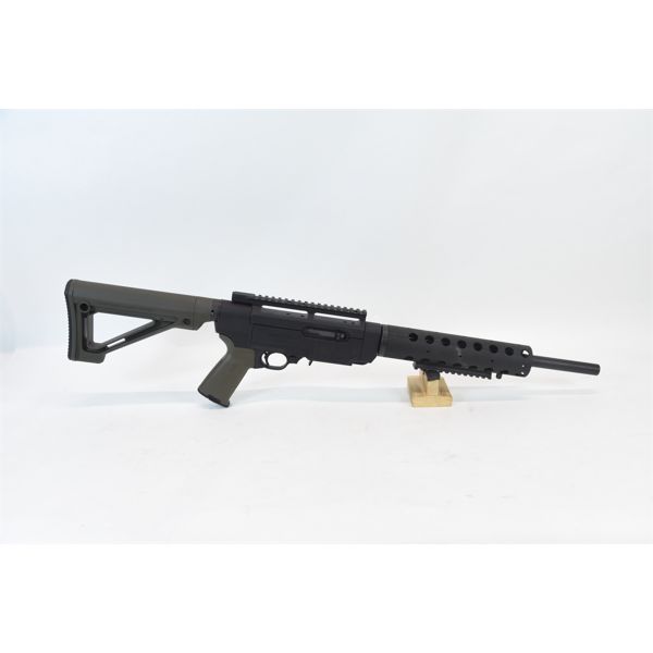 Ruger Model SR-22 Rifle
