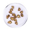 Image 1 : Lot of Gold Nuggets 5.91 grams Total Weight