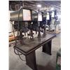 Image 1 : 4 Spindle Powermatic Drill Press
