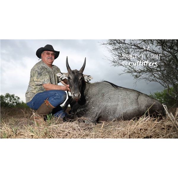 Double Shot Outfitters - Nilgai Hunt in South Texas