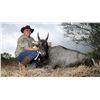 Image 1 : Double Shot Outfitters - Nilgai Hunt in South Texas