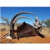 Image 1 : Ingwe Safaris Northern Cape - SABLE TROPHY FEE INCLUDED! 6 Day Safari for 1 Hunter