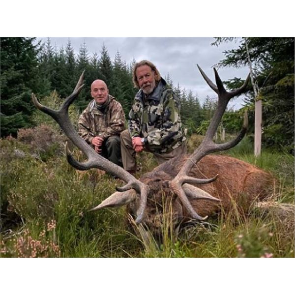 Scotland Red Stag Hunt