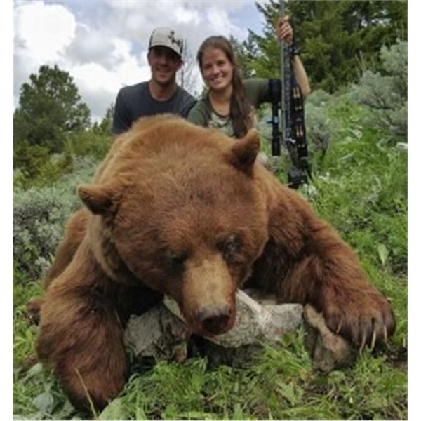 Montana Spring Bear Hunt