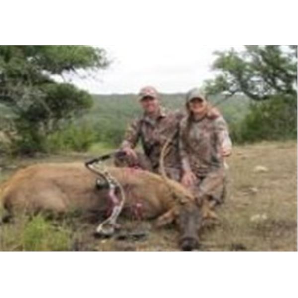 Texas Trophy Exotic Hunt
