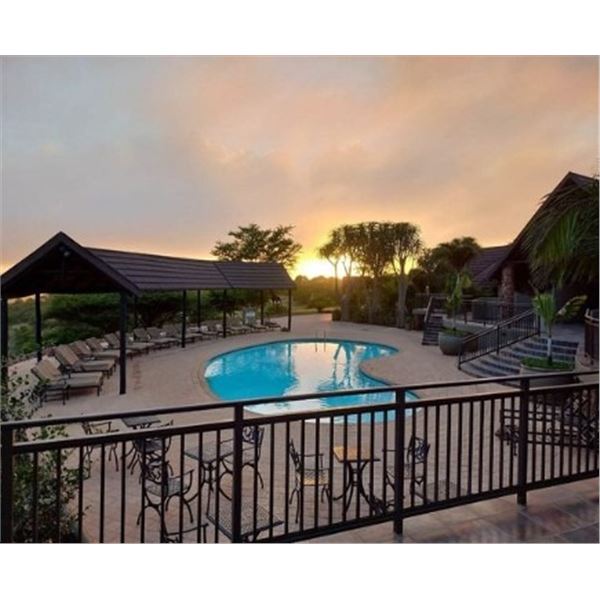 African Photo Safari