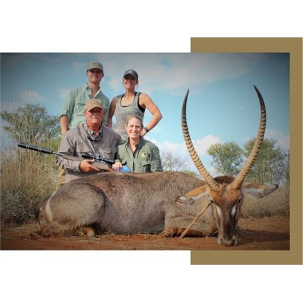 South Africa Zebra Double Tap