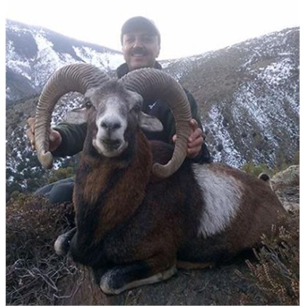 Spain - Multi Species