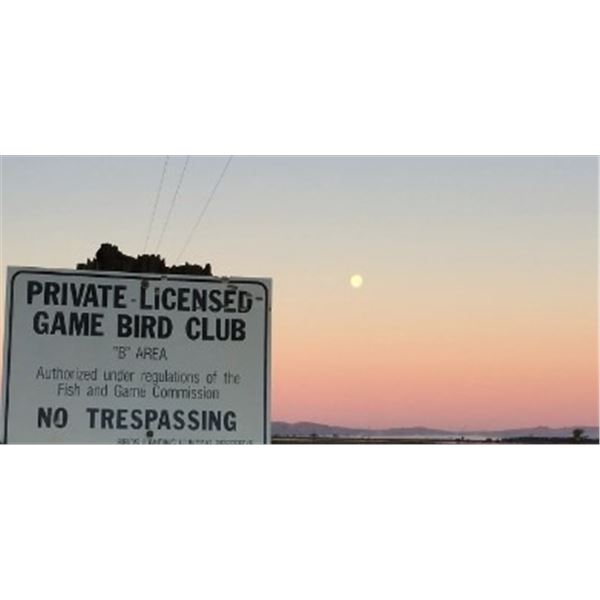 Wing and Sporting Clays Package