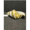 Image 1 : Limoges France Handpainted Seashell Approx 4.5"