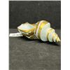 Image 4 : Limoges France Handpainted Seashell Approx 4.5"