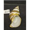 Image 5 : Limoges France Handpainted Seashell Approx 4.5"