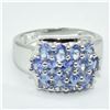 Image 1 : SILVER TANZANITE (12.25CT) RING