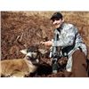 Image 2 : 7 Day Sitka Blacktail Deer hunt for  Oct. 2023