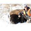 Image 2 : 2022 Wyoming Governor's Bison Hunt