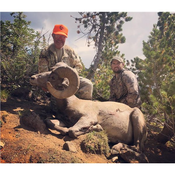 The 5th and Final 2022 Wyoming Governor's Bighorn Sheep License