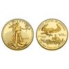 Image 1 : 2013 $5 American Gold Eagle Coin