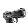 Image 10 : Ruger Model P95PR Semi-Automatic Pistol