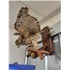 Image 2 : VINTAGE HAWK SPREAD WING TAXIDERMY WALL MOUNT