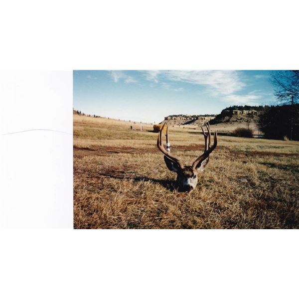 Montana Deer Youth Hunt