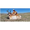 Image 1 : 3 day Eastern Montana Antelope Hunt for 1