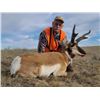 Image 2 : 3 day Eastern Montana Antelope Hunt for 1