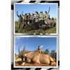 Image 2 : 7-day Sable Bull or Roan Antelope Hunt for 1 Hunter in Limpopo