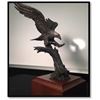 Image 1 : Freedom Bronze