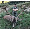 Image 1 : 4-Day Spectacular Mountain Hunt for 1 hunter + 1 Observer in Spain