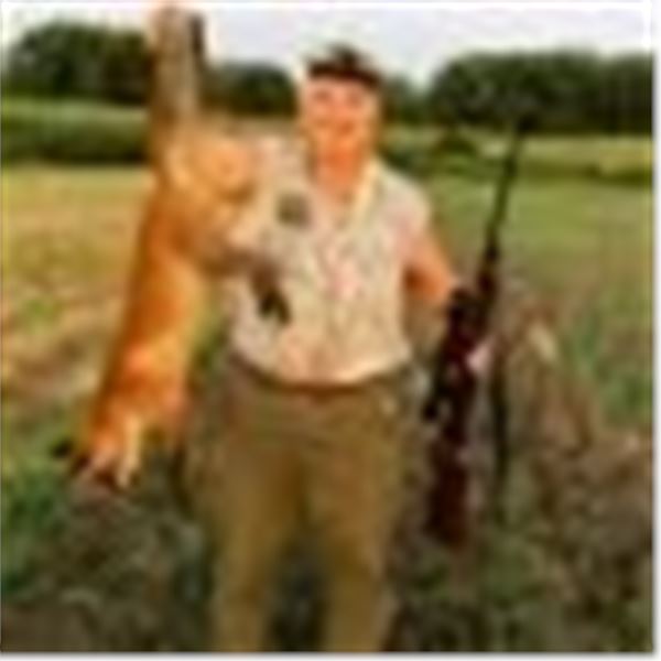 Serbian Fox/Hare Hunt