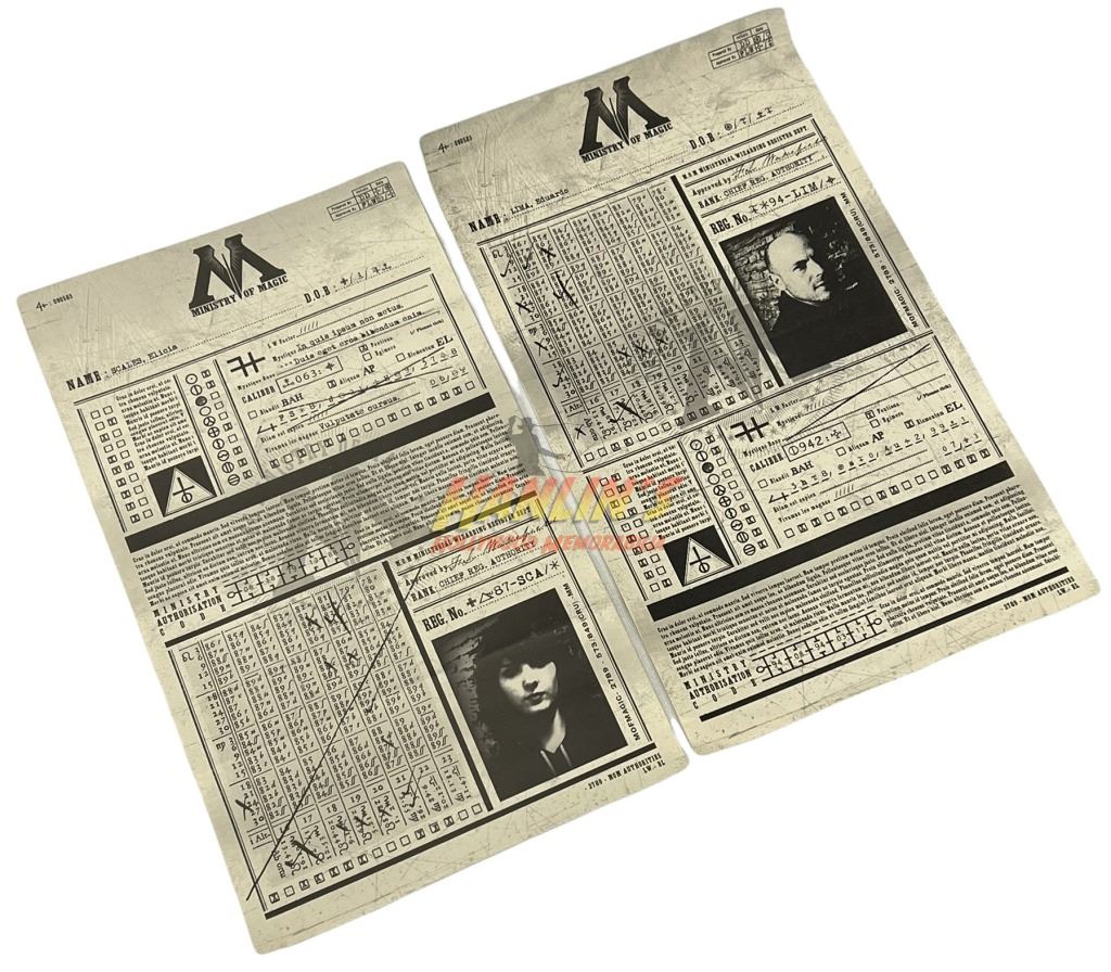 Harry Potter Franchise - Ministry of Magic Register Department Forms