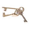 Image 1 : Pirates of the Caribbean - Pirates Key