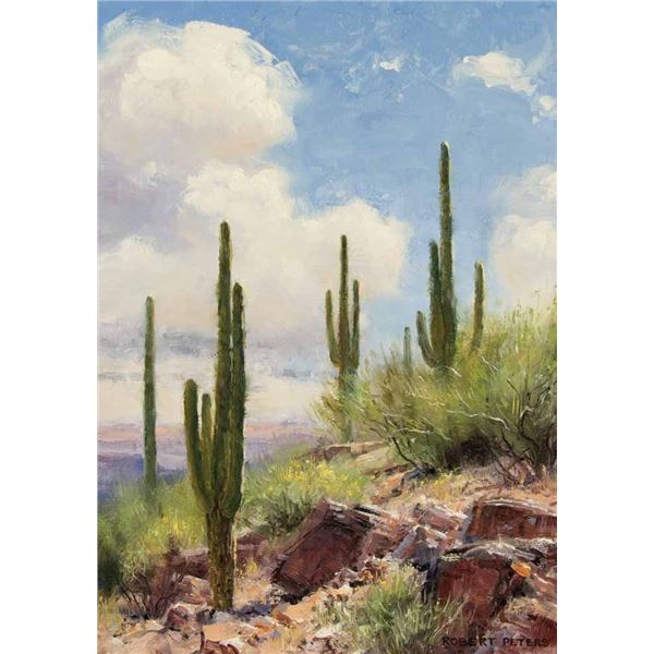 Robert Peters-Sonoran Charm (Study)