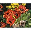 Image 1 : Robert Daughters-Poppy Garden