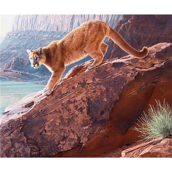Daniel Smith-Red Rock Cougar