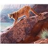 Image 1 : Daniel Smith-Red Rock Cougar
