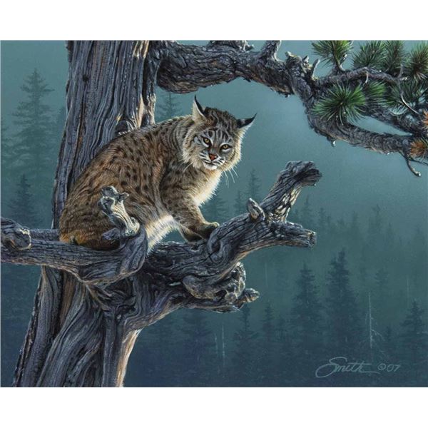 Daniel Smith-Silent Watch