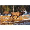 Image 1 : Dave Wade-Back Country Majesty
