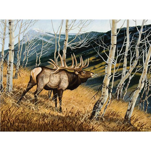 James Morgan-Elk