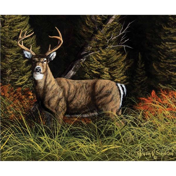 Trevor Swanson-Mule Deer