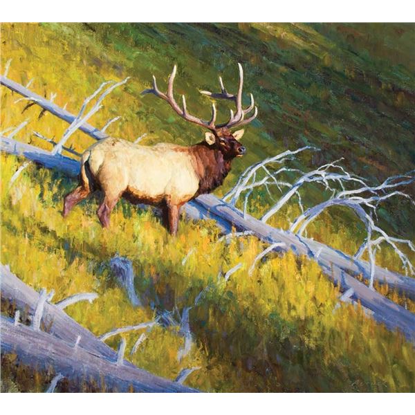 William Alther-Shadow Mountain Deadfall