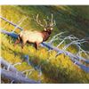 Image 1 : William Alther-Shadow Mountain Deadfall