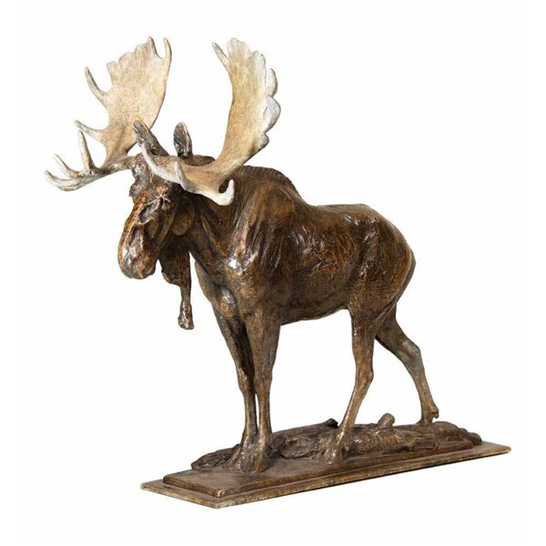 Rod Zullo-A Big Bull Moose
