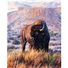Image 1 : Brian Grimm-Caprock Evening