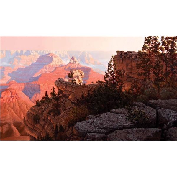 John Cox-Canyon Sunrise