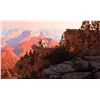 Image 1 : John Cox-Canyon Sunrise