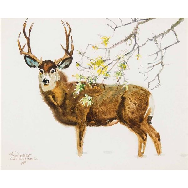 Robert Lougheed-Stag